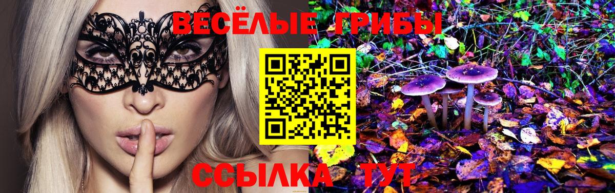 Псилоцибиновые грибы MAGIC MUSHROOMS Псков