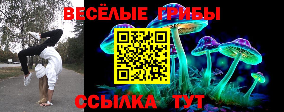 Псков  Псилоцибиновые грибы Psilocybine cubensis  Вход с VPN  Псилоцибиновые грибы мухоморы 